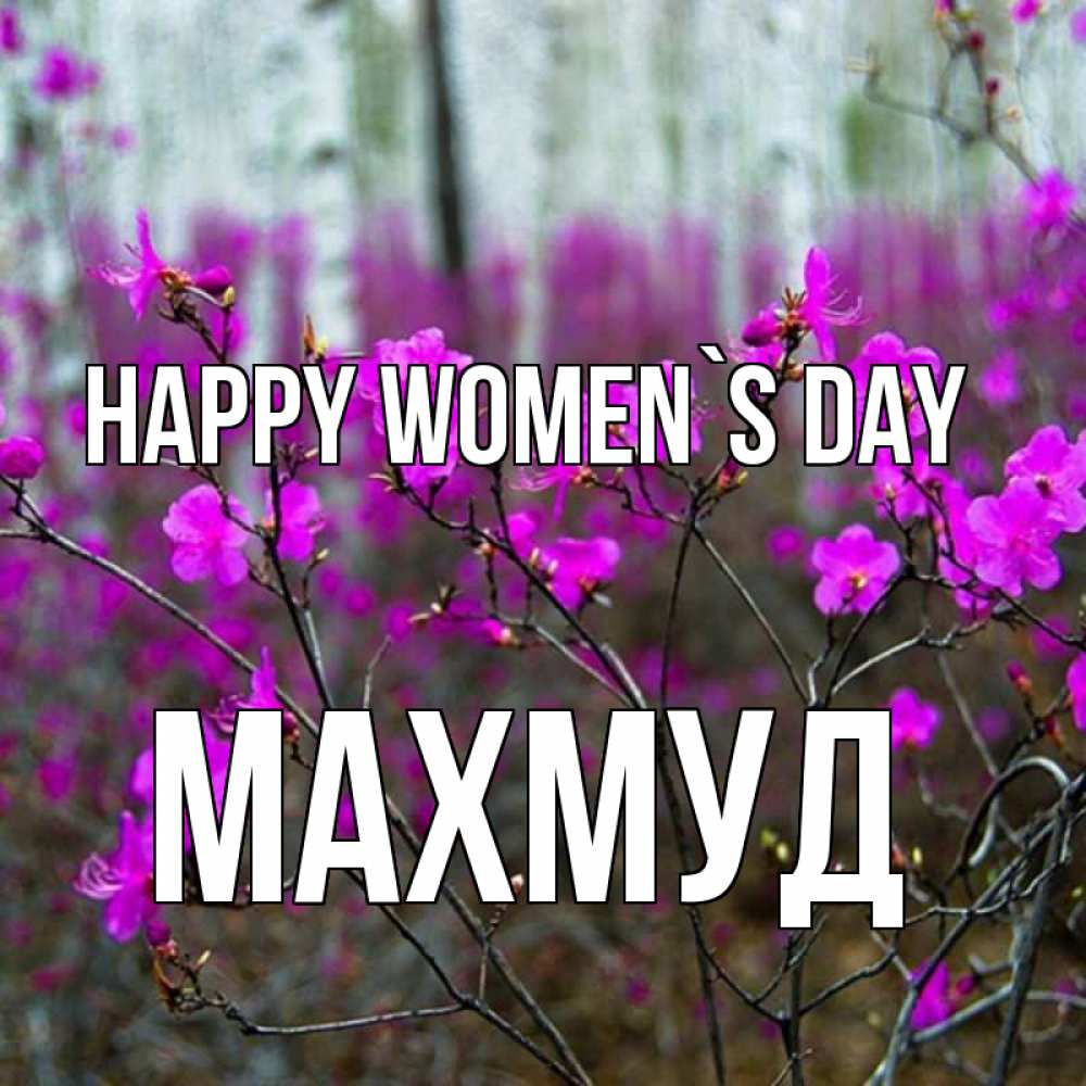 Greetings card с именем, Махмуд happy women`s day дикие цветы Greetings with text for free download 